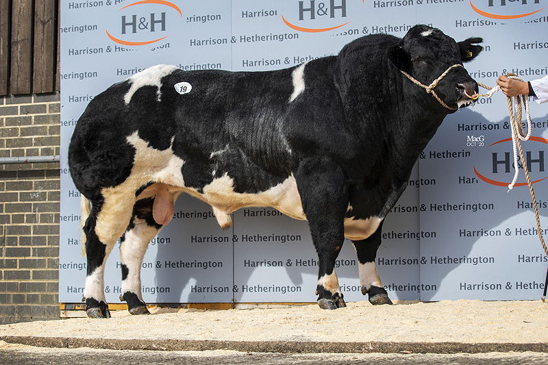 19-Almeley-Nutcracker-6000gns-4904