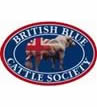 bbcs
