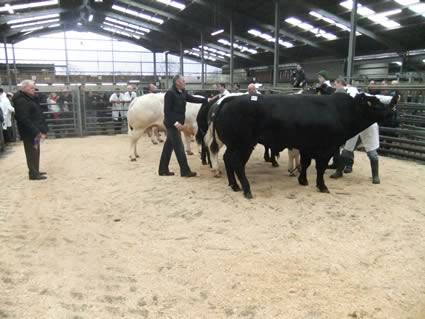 Ballymena Sale