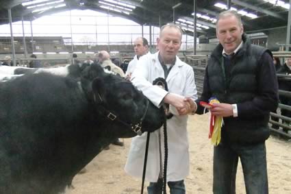 Ballymena Sale