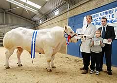 reserve champion
