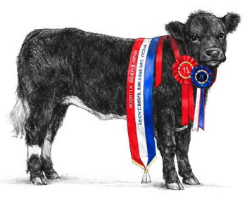 North East British Blue Calf Show 2026