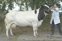 Champion Female
