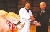 Belgian Blue Champion Presentation