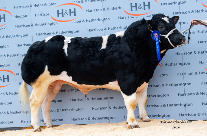 Brennand Nugget - 10,000 gns