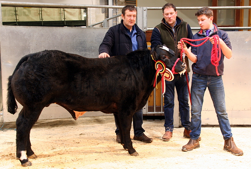 Craven Champions reserve supreme Blue-x bullock