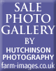 photo gallery
