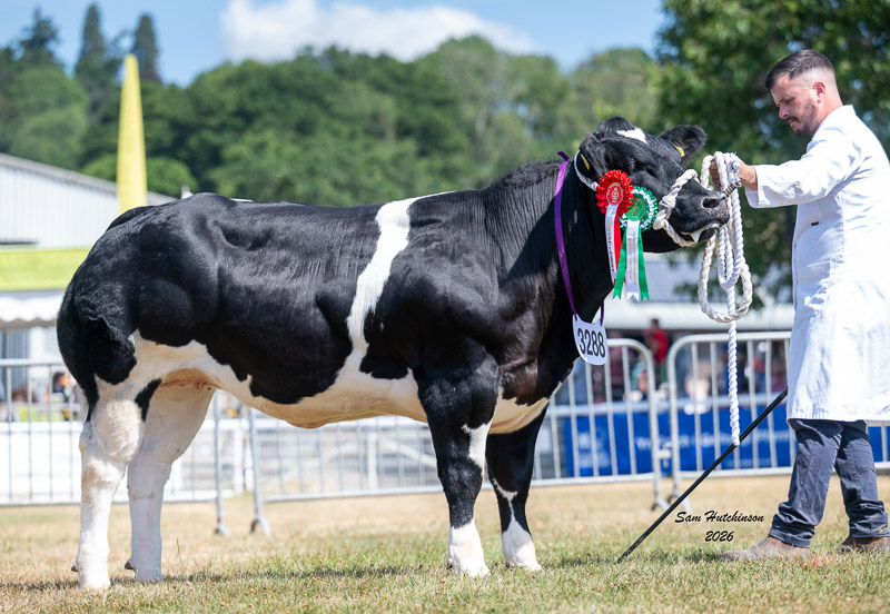 Reserve Female - Rhymil Vitality